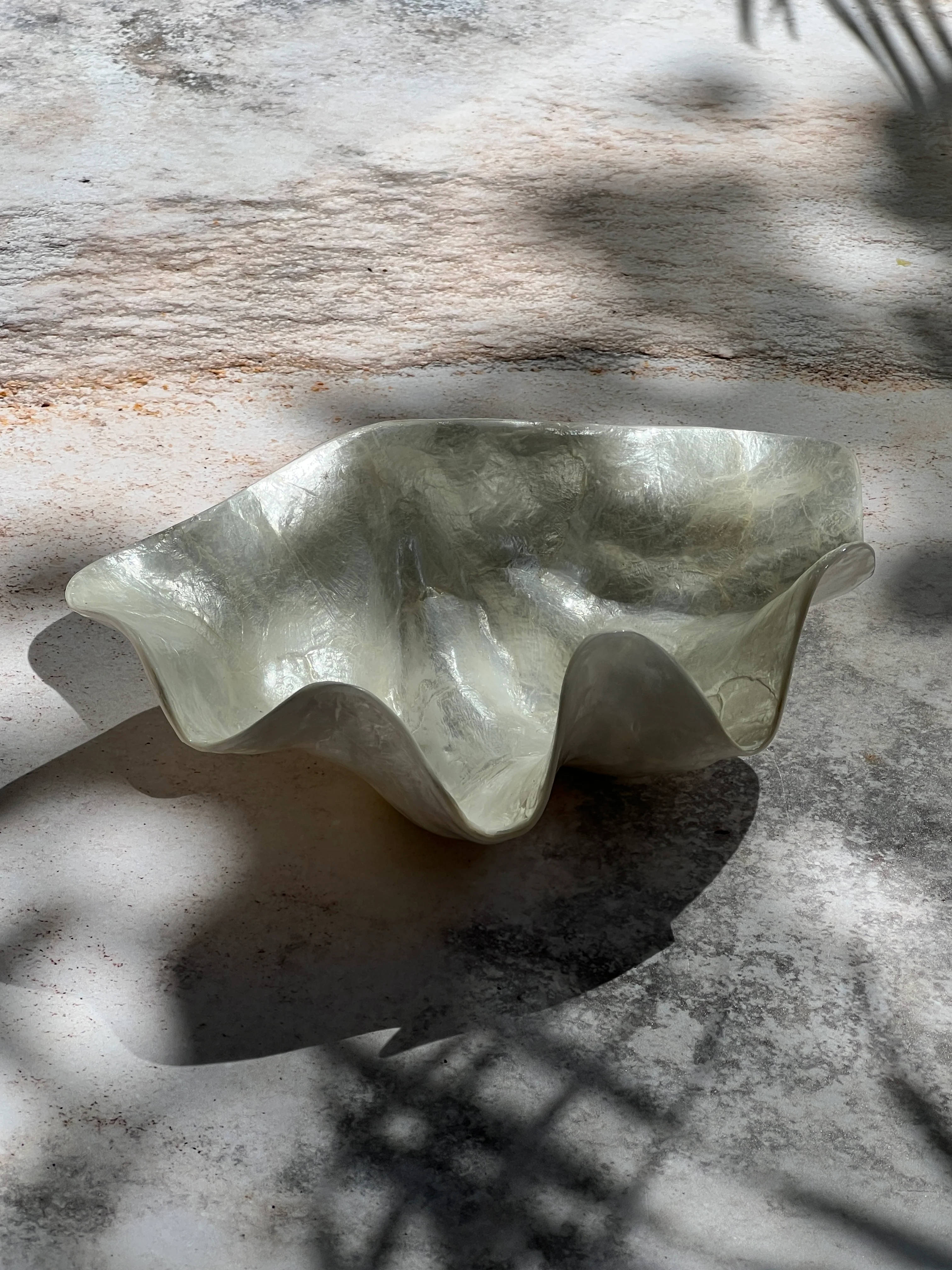 CLAM SHELL PEARL - Image 2