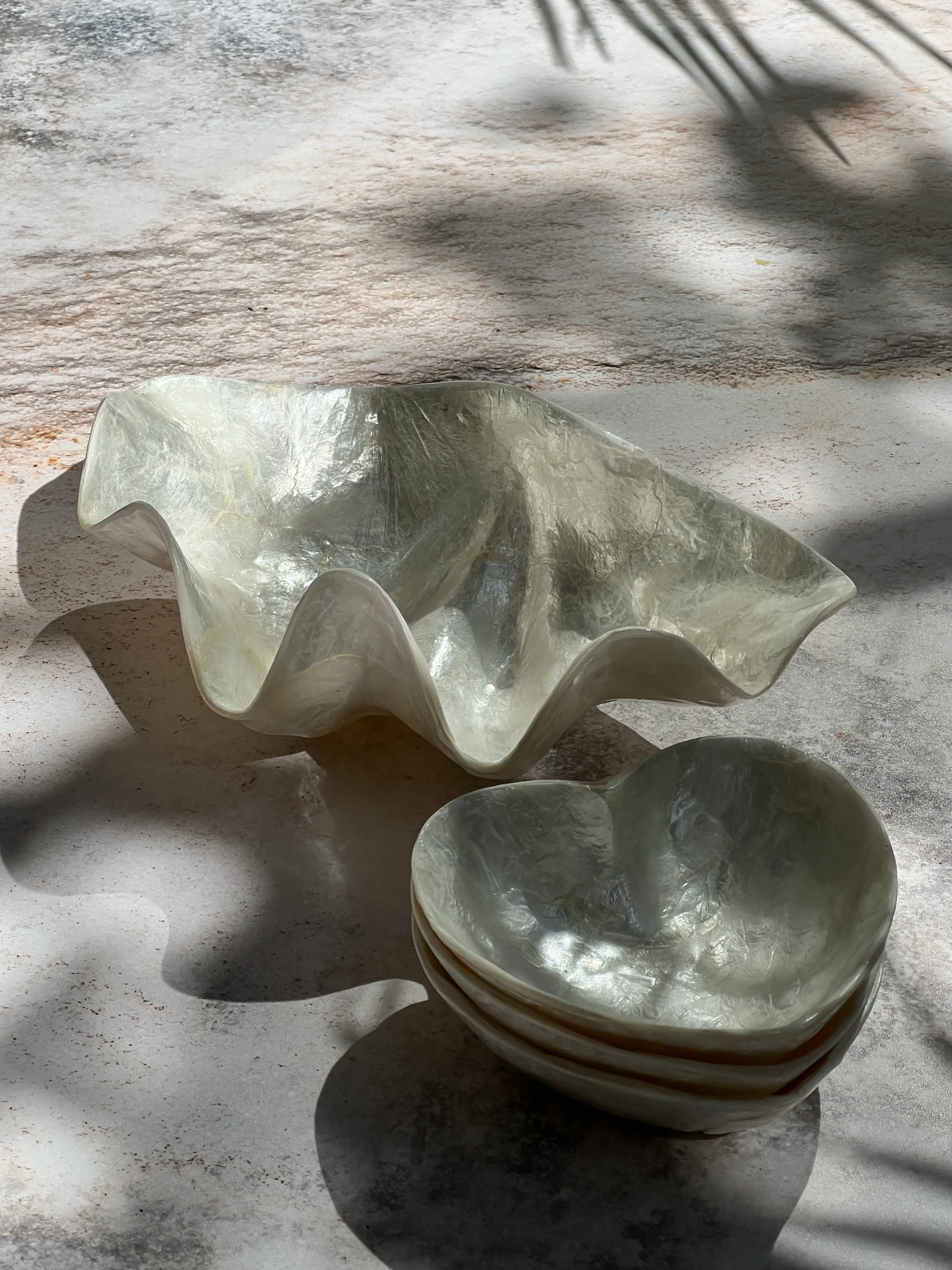CLAM SHELL PEARL - Image 3
