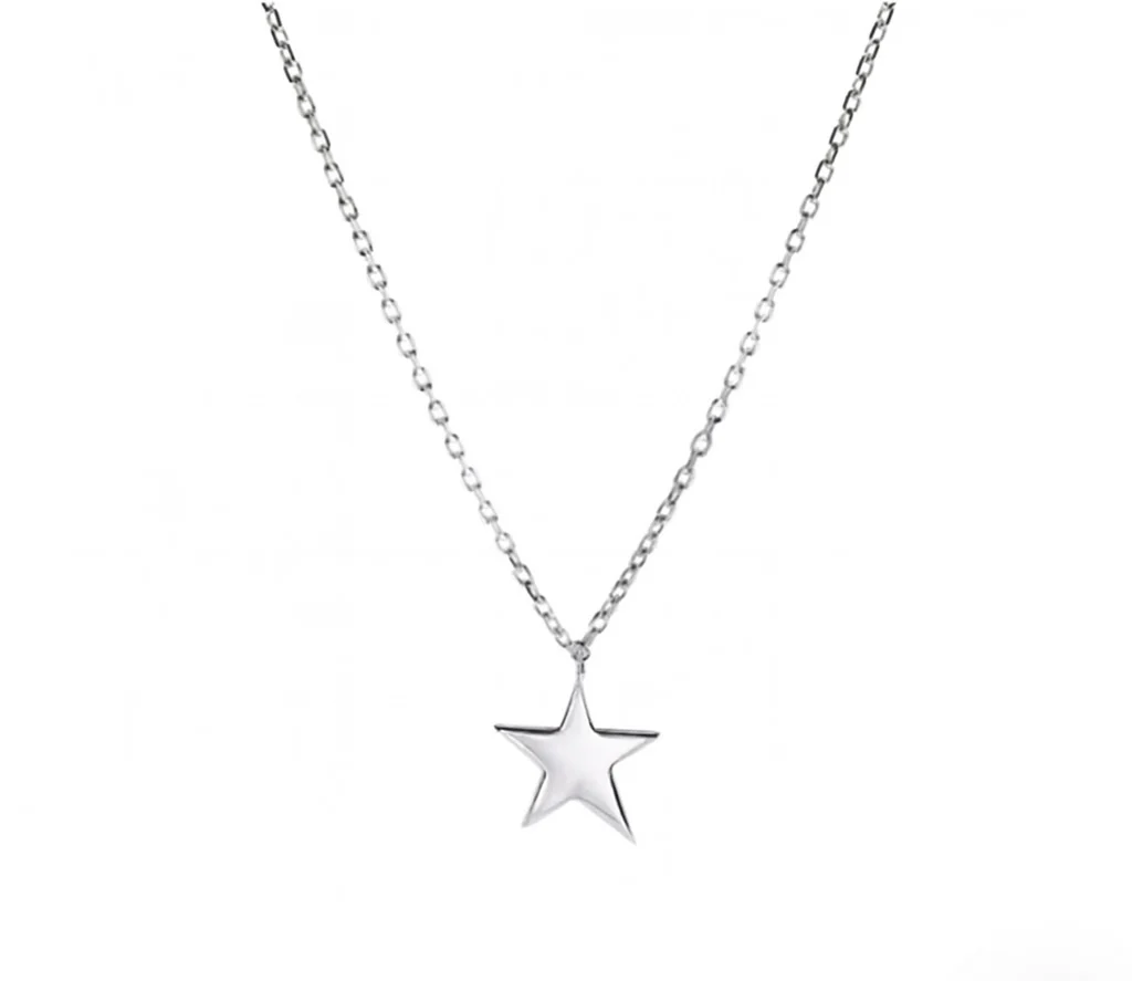 ICON NECKLACE SILVER - Image 2